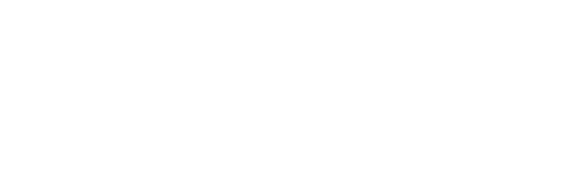 DinMo Case Study white