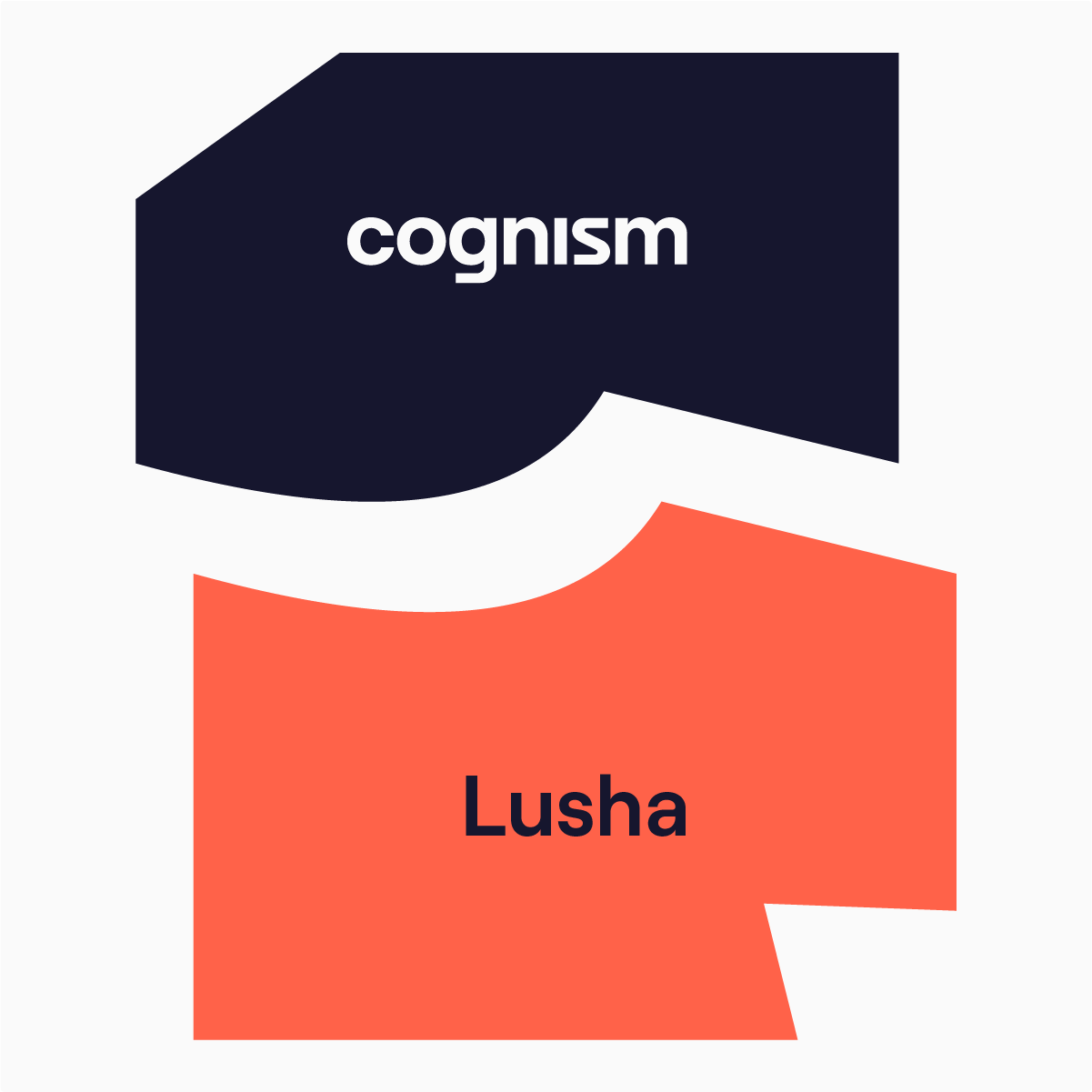 Infographic Cognism-Lusha