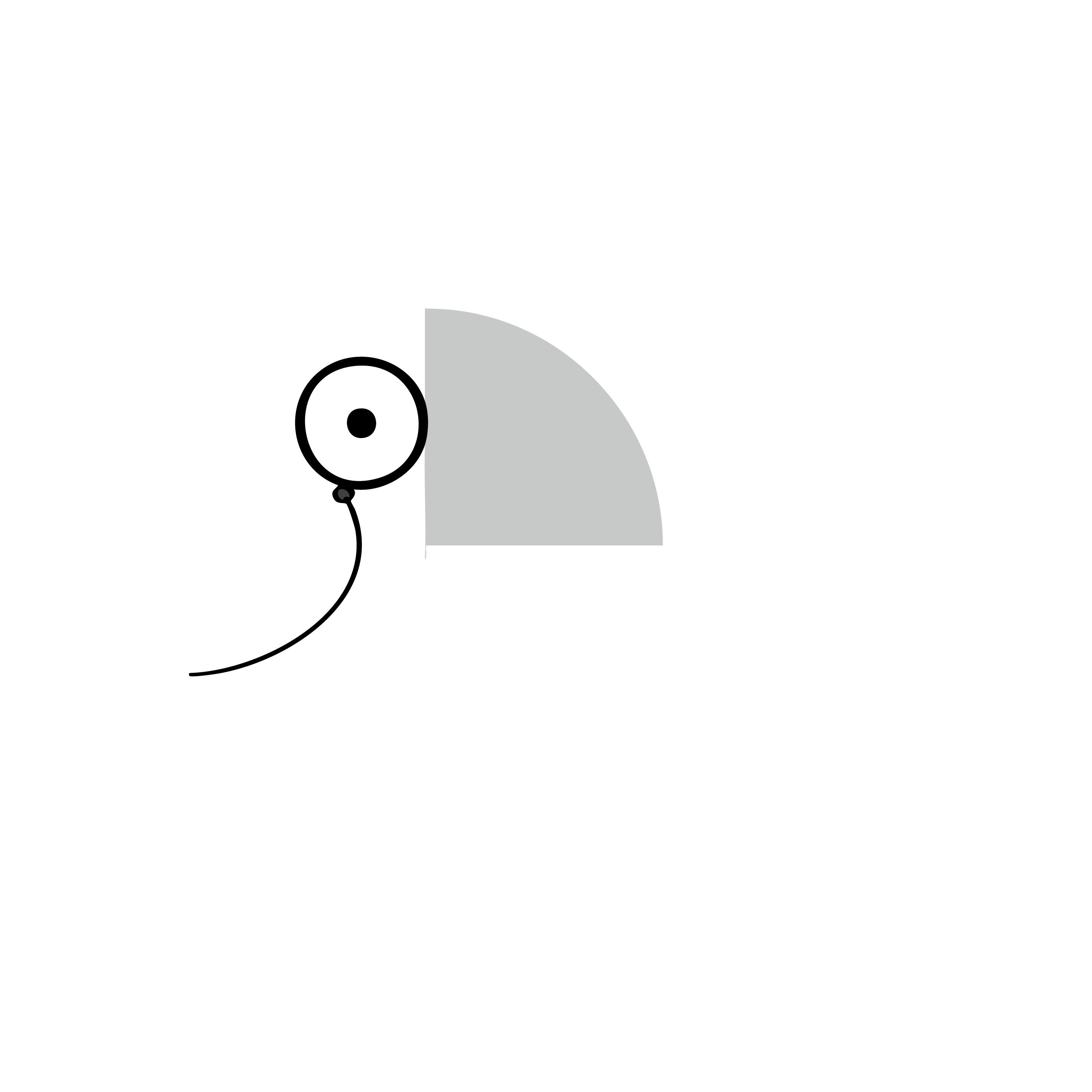 Toucan